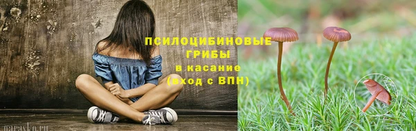 кокс Аркадак