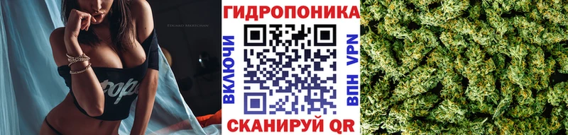 блэк спрут вход  Рошаль  Канабис ГИДРОПОН  купить  
